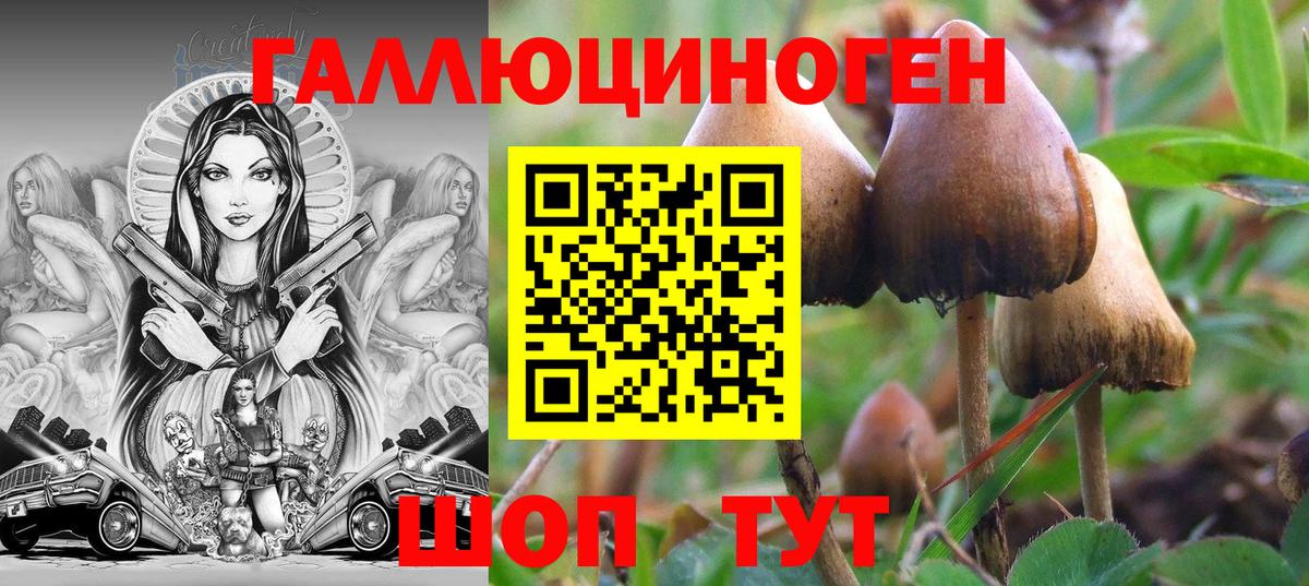 Псилоцибиновые грибы Magic Shrooms Алушта