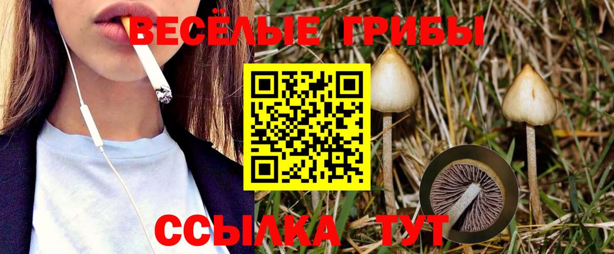 Алушта  сколько стоит  Вход с VPN  Галлюциногенные грибы Psilocybine cubensis 